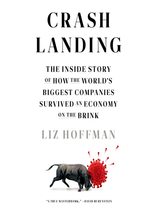 Title details for Crash Landing by Liz Hoffman - Wait list